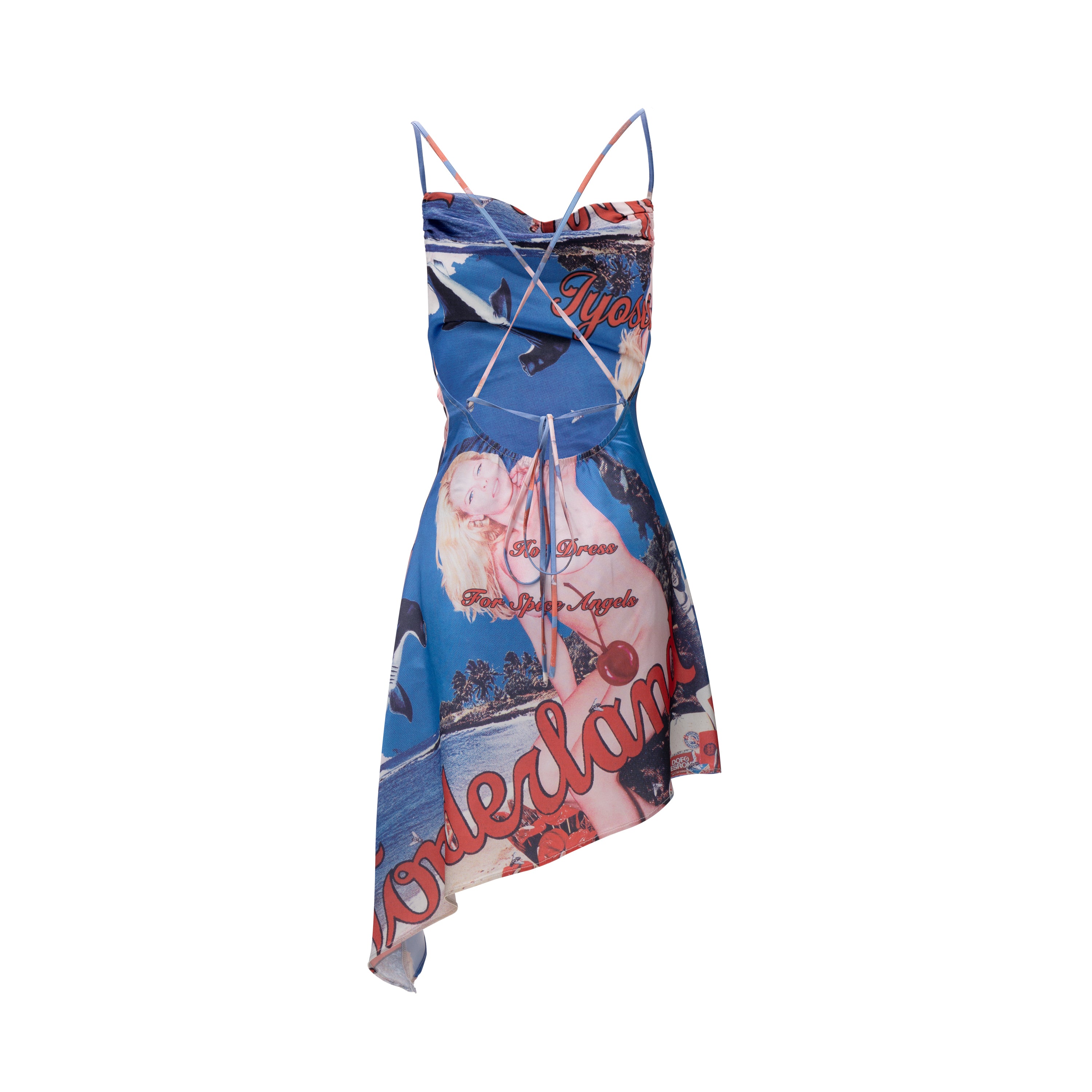 Liz Dress