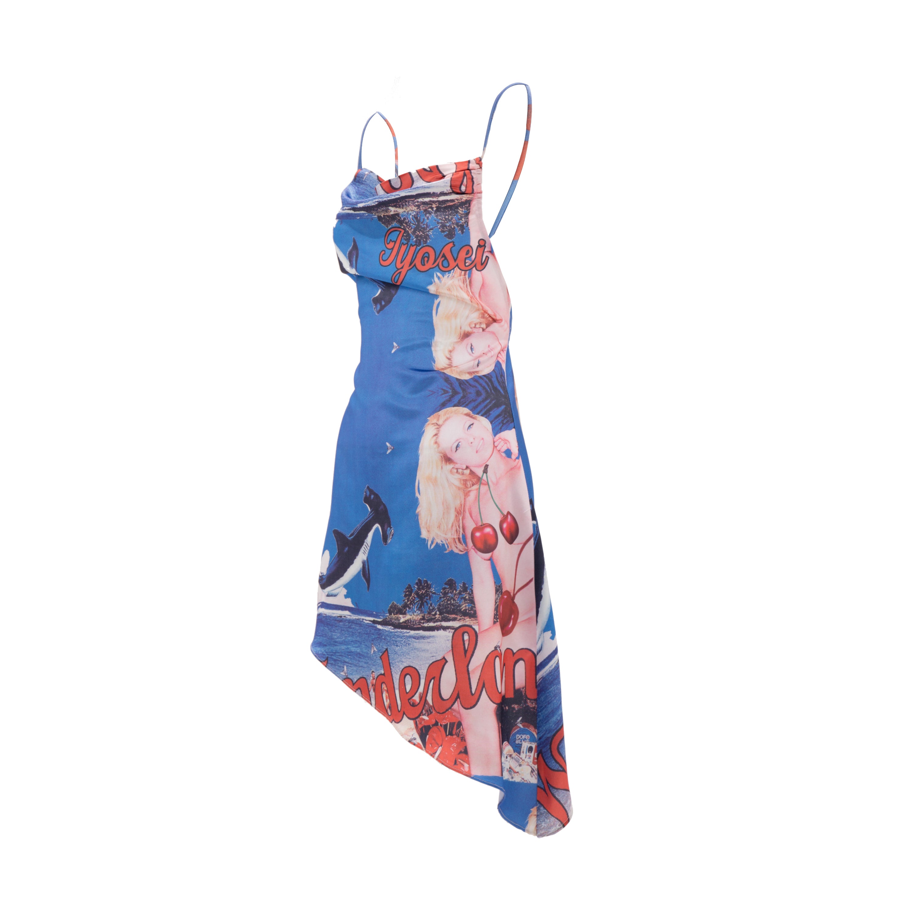 Liz Dress